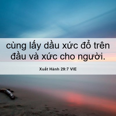 Picture 06 - Xuất Hành 29:7 VIE - cùng lấy dầu xức đổ trên đầu và - Bible Verse Picture