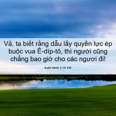 Picture 06 - Xuất Hành 3:19 VIE - Vả, ta biết rằng dẫu lấy quyền lực - Bible Verse Picture
