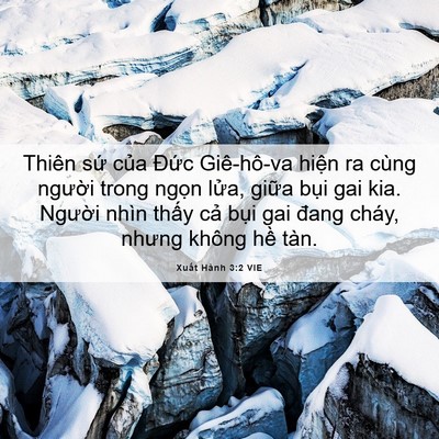 Picture 06 - Xuất Hành 3:2 VIE - Thiên sứ của Đức Giê-hô-va hiện ra - Bible Verse Picture