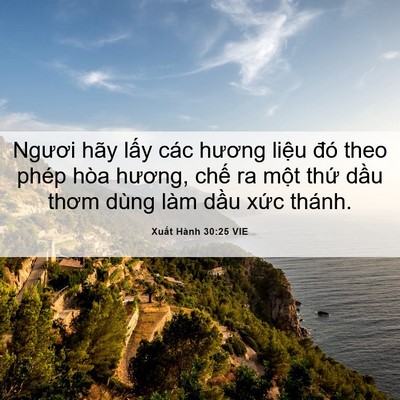 Picture 06 - Xuất Hành 30:25 VIE - Ngươi hãy lấy các hương liệu đó theo - Bible Verse Picture