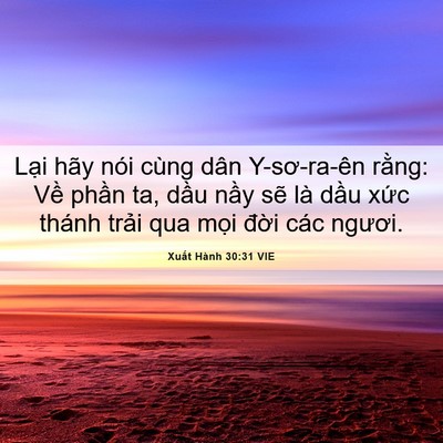 Picture 06 - Xuất Hành 30:31 VIE - Lại hãy nói cùng dân Y-sơ-ra-ên rằng: - Bible Verse Picture