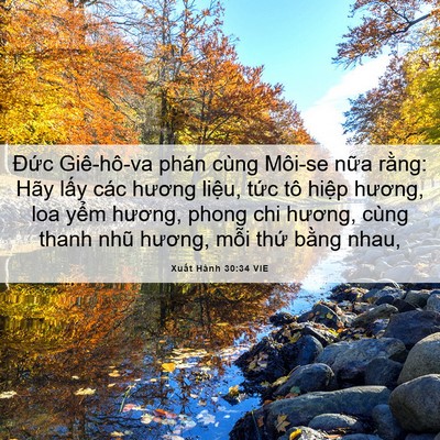 Picture 06 - Xuất Hành 30:34 VIE - Đức Giê-hô-va phán cùng Môi-se nữa - Bible Verse Picture