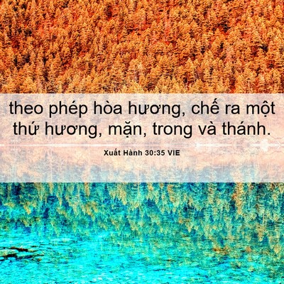 Picture 06 - Xuất Hành 30:35 VIE - theo phép hòa hương, chế ra một thứ - Bible Verse Picture