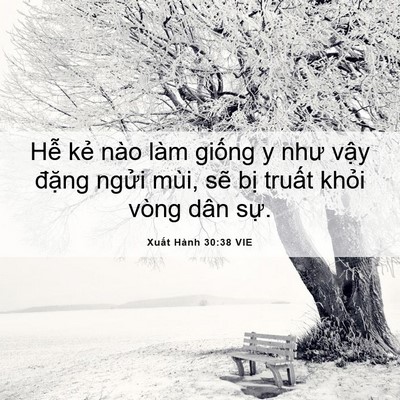 Picture 06 - Xuất Hành 30:38 VIE - Hễ kẻ nào làm giống y như vậy đặng - Bible Verse Picture