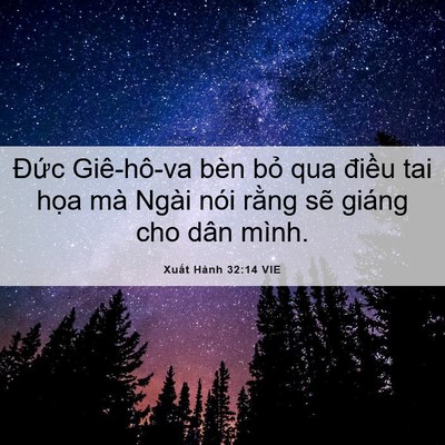 Picture 06 - Xuất Hành 32:14 VIE - Đức Giê-hô-va bèn bỏ qua điều tai - Bible Verse Picture