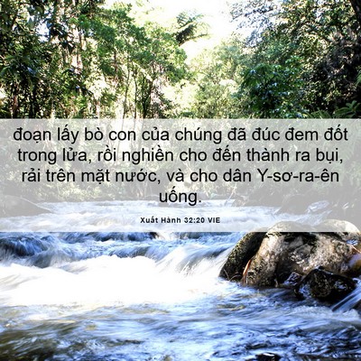 Picture 06 - Xuất Hành 32:20 VIE - đoạn lấy bò con của chúng đã đúc - Bible Verse Picture