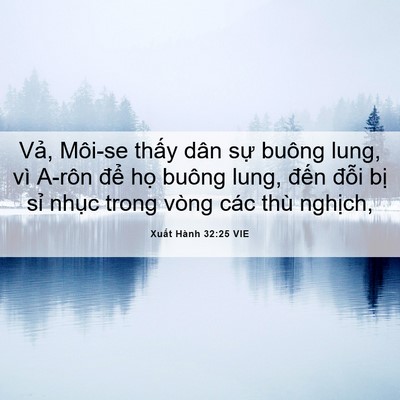Picture 06 - Xuất Hành 32:25 VIE - Vả, Môi-se thấy dân sự buông lung, vì - Bible Verse Picture