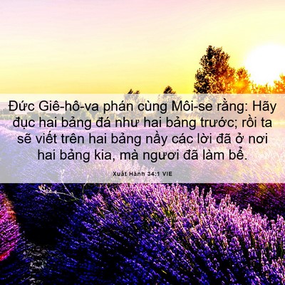 Picture 06 - Xuất Hành 34:1 VIE - Đức Giê-hô-va phán cùng Môi-se rằng: - Bible Verse Picture