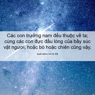 Picture 06 - Xuất Hành 34:19 VIE - Các con trưởng nam đều thuộc về ta; - Bible Verse Picture