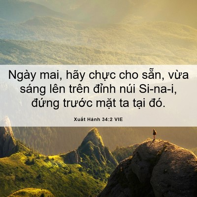 Picture 06 - Xuất Hành 34:2 VIE - Ngày mai, hãy chực cho sẵn, vừa sáng - Bible Verse Picture
