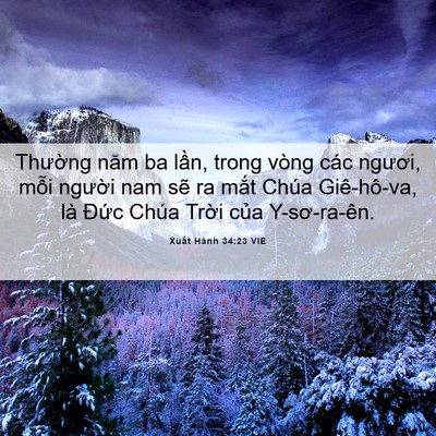 Picture 06 - Xuất Hành 34:23 VIE - Thường năm ba lần, trong vòng các - Bible Verse Picture