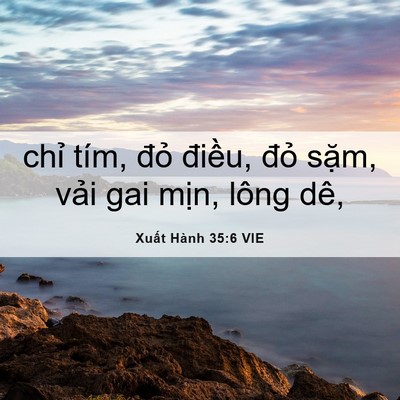Picture 06 - Xuất Hành 35:6 VIE - chỉ tím, đỏ điều, đỏ sặm, vải gai - Bible Verse Picture