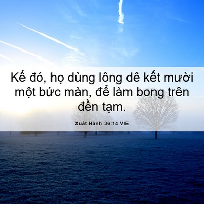 Picture 06 - Xuất Hành 36:14 VIE - Kế đó, họ dùng lông dê kết mười - Bible Verse Picture