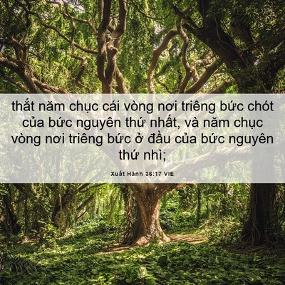 Picture 06 - Xuất Hành 36:17 VIE - thắt năm chục cái vòng nơi triêng bức - Bible Verse Picture