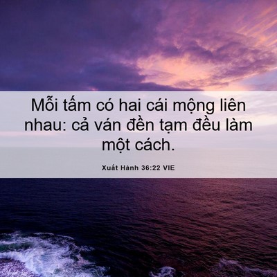 Picture 06 - Xuất Hành 36:22 VIE - Mỗi tấm có hai cái mộng liên nhau: cả - Bible Verse Picture
