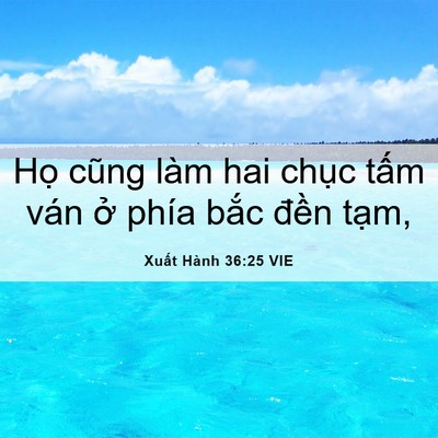 Picture 06 - Xuất Hành 36:25 VIE - Họ cũng làm hai chục tấm ván ở phía - Bible Verse Picture