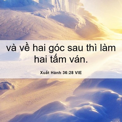 Picture 06 - Xuất Hành 36:28 VIE - và về hai góc sau thì làm hai tấm - Bible Verse Picture