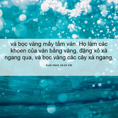 Picture 06 - Xuất Hành 36:34 VIE - và bọc vàng mấy tấm ván. Họ làm các - Bible Verse Picture