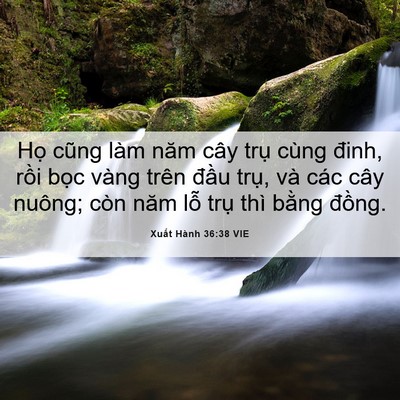Picture 06 - Xuất Hành 36:38 VIE - Họ cũng làm năm cây trụ cùng đinh, - Bible Verse Picture