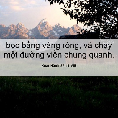 Picture 06 - Xuất Hành 37:11 VIE - bọc bằng vàng ròng, và chạy một - Bible Verse Picture
