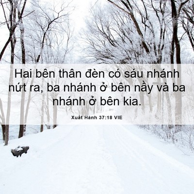 Picture 06 - Xuất Hành 37:18 VIE - Hai bên thân đèn có sáu nhánh nứt ra, ba - Bible Verse Picture