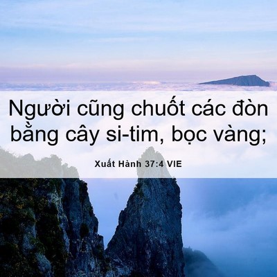 Picture 06 - Xuất Hành 37:4 VIE - Người cũng chuốt các đòn bằng cây - Bible Verse Picture