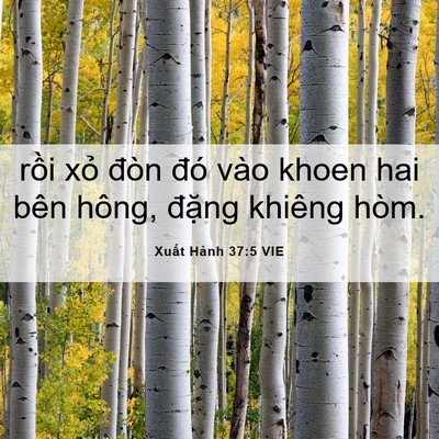 Picture 06 - Xuất Hành 37:5 VIE - rồi xỏ đòn đó vào khoen hai bên hông, - Bible Verse Picture