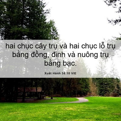 Picture 06 - Xuất Hành 38:10 VIE - hai chục cây trụ và hai chục lỗ trụ - Bible Verse Picture