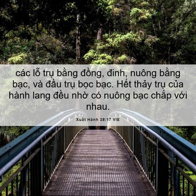 Picture 06 - Xuất Hành 38:17 VIE - các lỗ trụ bằng đồng, đinh, nuông - Bible Verse Picture