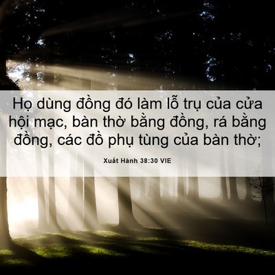Picture 06 - Xuất Hành 38:30 VIE - Họ dùng đồng đó làm lỗ trụ của - Bible Verse Picture