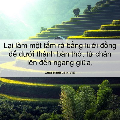 Picture 06 - Xuất Hành 38:4 VIE - Lại làm một tấm rá bằng lưới đồng - Bible Verse Picture