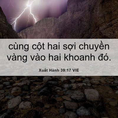 Picture 06 - Xuất Hành 39:17 VIE - cùng cột hai sợi chuyền vàng vào hai - Bible Verse Picture