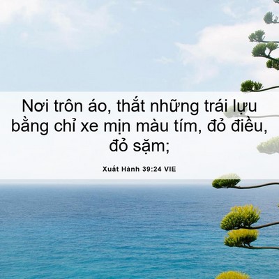Picture 06 - Xuất Hành 39:24 VIE - Nơi trôn áo, thắt những trái lựu bằng - Bible Verse Picture