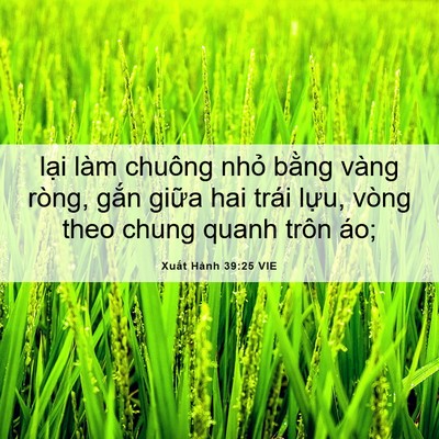 Picture 06 - Xuất Hành 39:25 VIE - lại làm chuông nhỏ bằng vàng ròng, - Bible Verse Picture