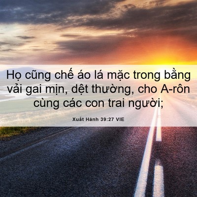 Picture 06 - Xuất Hành 39:27 VIE - Họ cũng chế áo lá mặc trong bằng vải - Bible Verse Picture