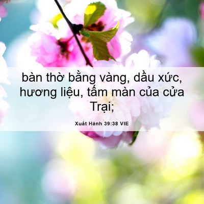 Picture 06 - Xuất Hành 39:38 VIE - bàn thờ bằng vàng, dầu xức, hương - Bible Verse Picture