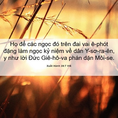 Picture 06 - Xuất Hành 39:7 VIE - Họ để các ngọc đó trên đai vai - Bible Verse Picture