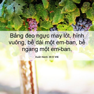 Picture 06 - Xuất Hành 39:9 VIE - Bảng đeo ngực may lót, hình vuông, bề - Bible Verse Picture