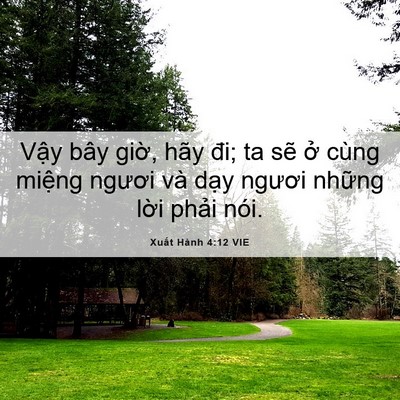 Picture 06 - Xuất Hành 4:12 VIE - Vậy bây giờ, hãy đi; ta sẽ ở cùng - Bible Verse Picture