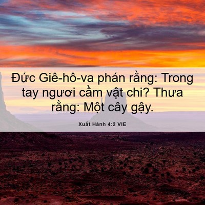 Picture 06 - Xuất Hành 4:2 VIE - Đức Giê-hô-va phán rằng: Trong tay - Bible Verse Picture
