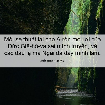 Picture 06 - Xuất Hành 4:28 VIE - Môi-se thuật lại cho A-rôn mọi lời - Bible Verse Picture