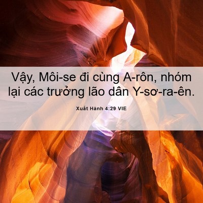 Picture 06 - Xuất Hành 4:29 VIE - Vậy, Môi-se đi cùng A-rôn, nhóm lại các - Bible Verse Picture