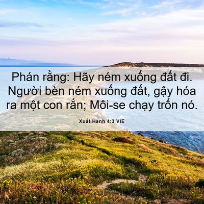 Picture 06 - Xuất Hành 4:3 VIE - Phán rằng: Hãy ném xuống đất đi. - Bible Verse Picture