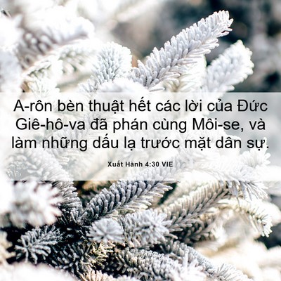 Picture 06 - Xuất Hành 4:30 VIE - A-rôn bèn thuật hết các lời của Đức - Bible Verse Picture