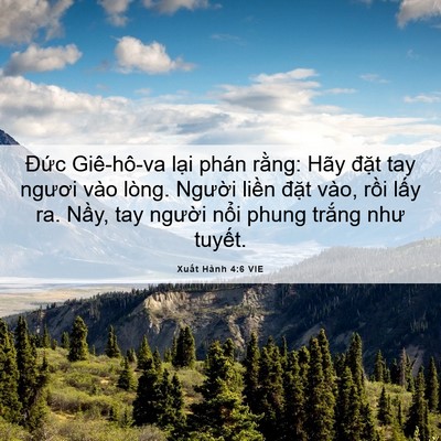Picture 06 - Xuất Hành 4:6 VIE - Đức Giê-hô-va lại phán rằng: Hãy - Bible Verse Picture