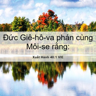 Picture 06 - Xuất Hành 40:1 VIE - Đức Giê-hô-va phán cùng Môi-se - Bible Verse Picture