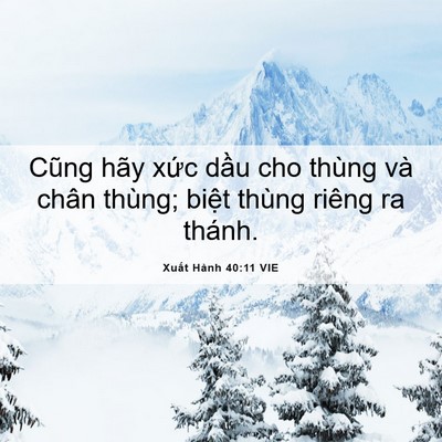 Picture 06 - Xuất Hành 40:11 VIE - Cũng hãy xức dầu cho thùng và chân - Bible Verse Picture
