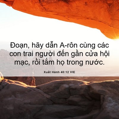 Picture 06 - Xuất Hành 40:12 VIE - Đoạn, hãy dẫn A-rôn cùng các con trai - Bible Verse Picture