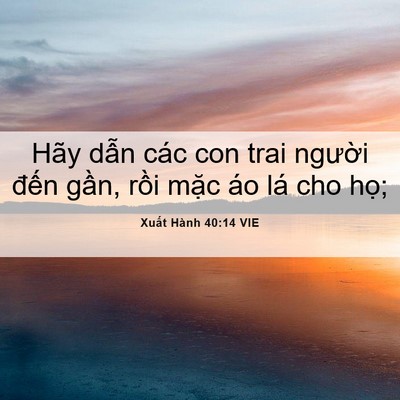 Picture 06 - Xuất Hành 40:14 VIE - Hãy dẫn các con trai người đến gần, - Bible Verse Picture