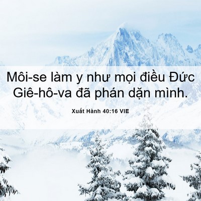 Picture 06 - Xuất Hành 40:16 VIE - Môi-se làm y như mọi điều Đức - Bible Verse Picture